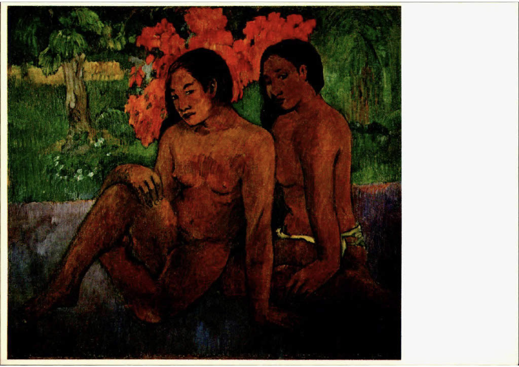 943 1760621264746 5a3dd0ee d657 4109 afd8 d9602a470cca1 80